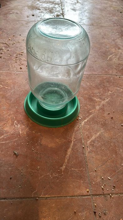 Пойлки для птиц!