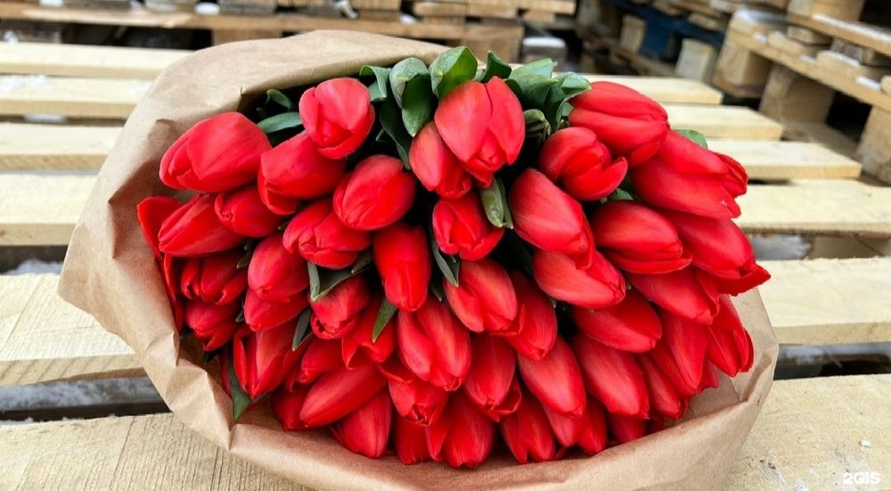 Продам тюльпаны к празднику