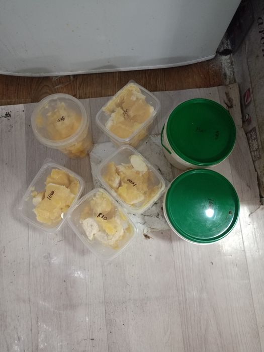 Продается мед многотравный