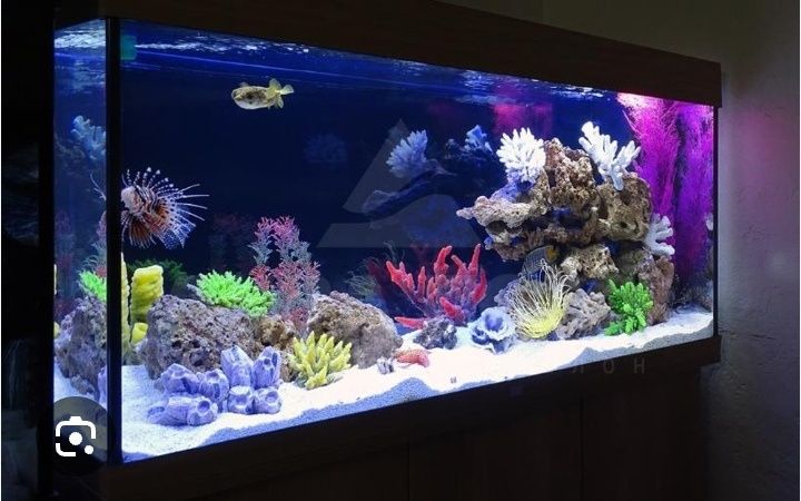 Акварим буюртма буйича ремонт хизмати.