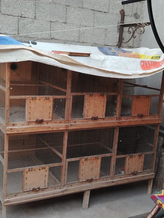 Qushlar uchun katak sotiladi