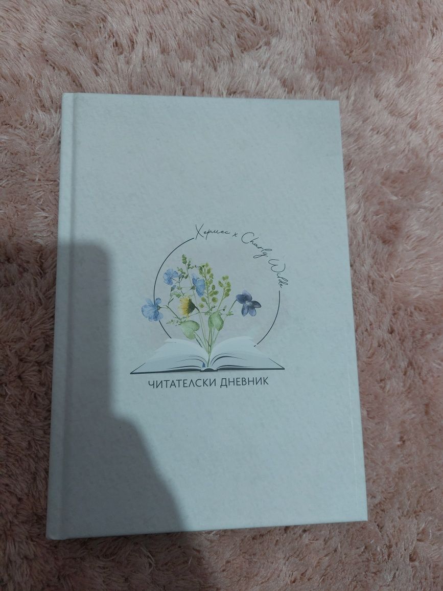 Розовият балон, живот в скалите, читателски дневник,странстващият гр ...