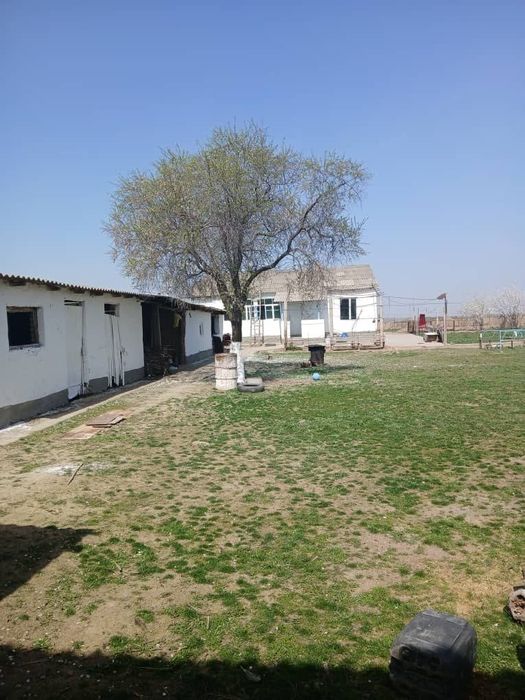 Бука тумани Самарканд МФЙ КОЗОКОВУЛ кишлогида уй-ховли жой сотилади