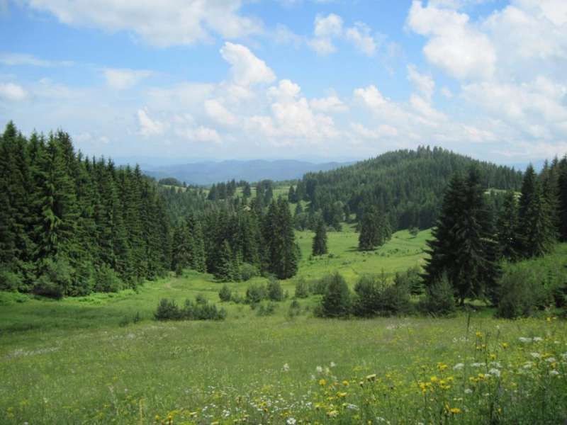 Продава се Къща в к.к. Пампорово - 2317 кв.м за 56 €/кв.м - Снимка #9