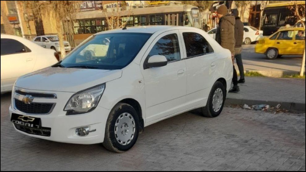 Cobalt 2019 oq 40% kraska