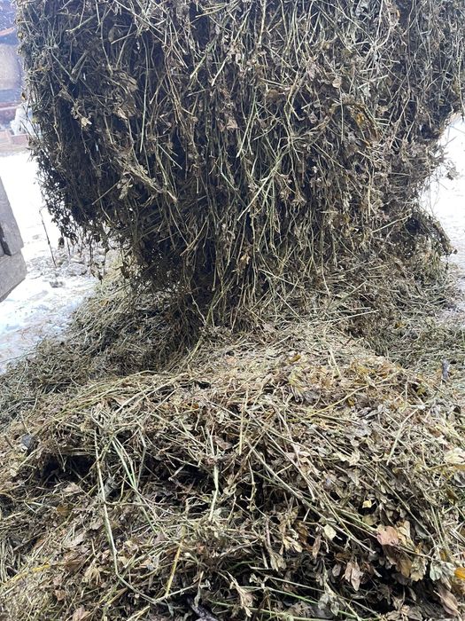 Lucerna infolita coasa a 5 vand sau schimb