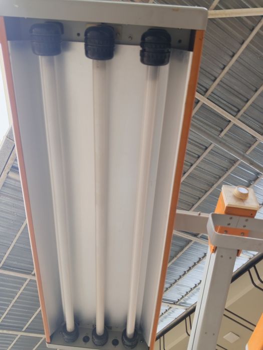 Lampa mededtisiniskiy