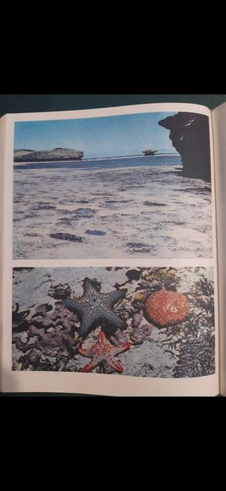 Африка на Л.Браун от 1976 година