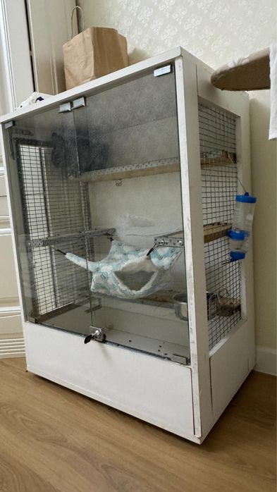 Продам Шиншиллу с клеткой