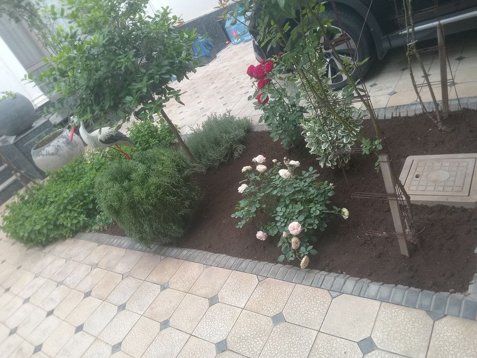 Садовник богбон Уборщик тозаловчи Обработка дориловчи
