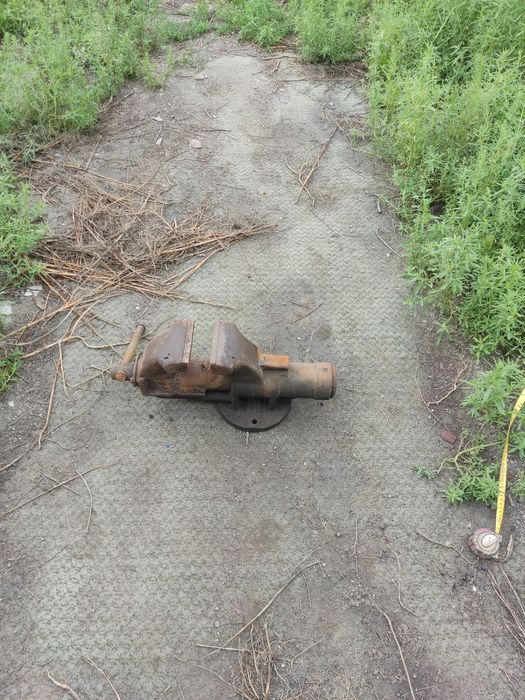 Продам тиса советская