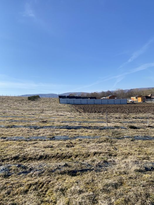 Teren extravilan de vanzare