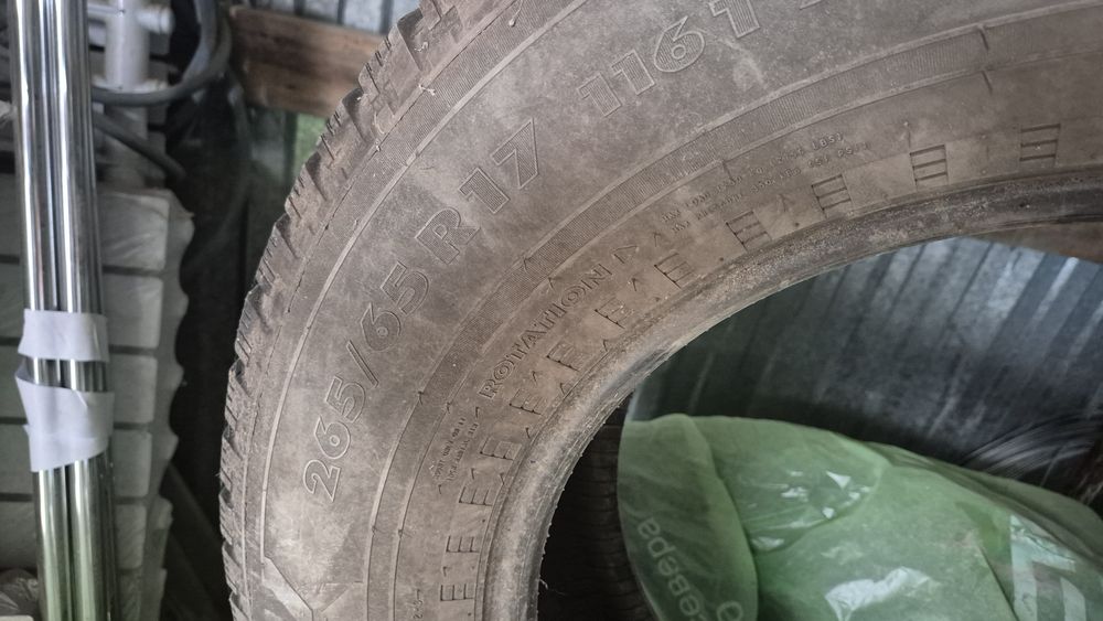 Қысқы Дөңгелек (шина)