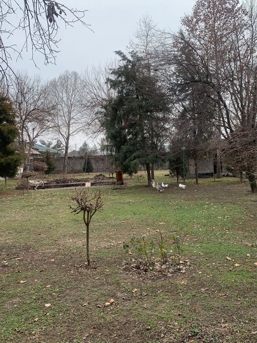 ПРОДАЁТСЯ Большой участок, под бизнес 1- гектар!