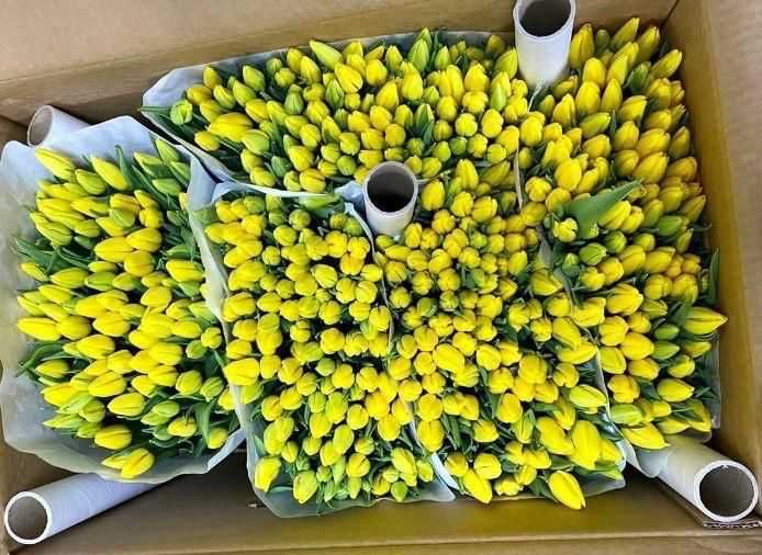 Тюльпаны к 8марту