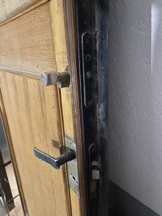 Металлическая  дверь