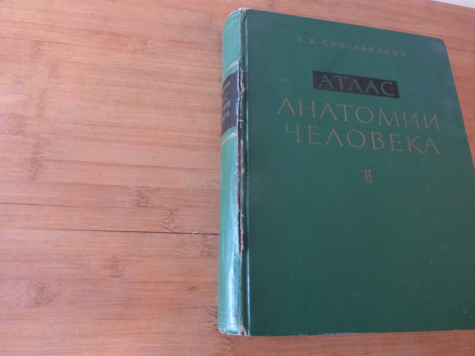 Атлас Анатомия на човека том 2 Синелников