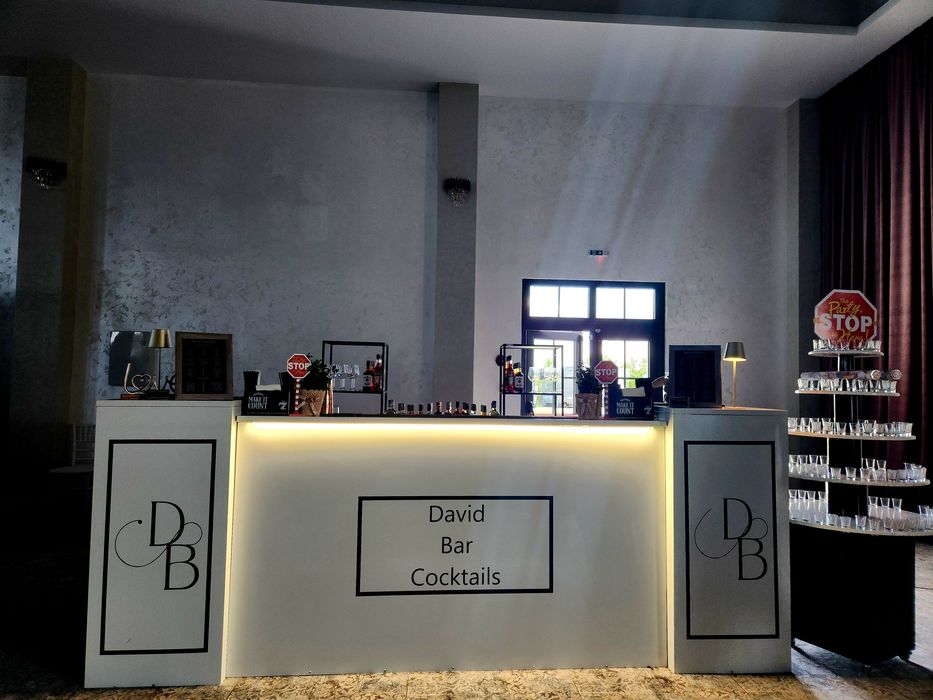 Cocktail Bar/ Bar Mobil