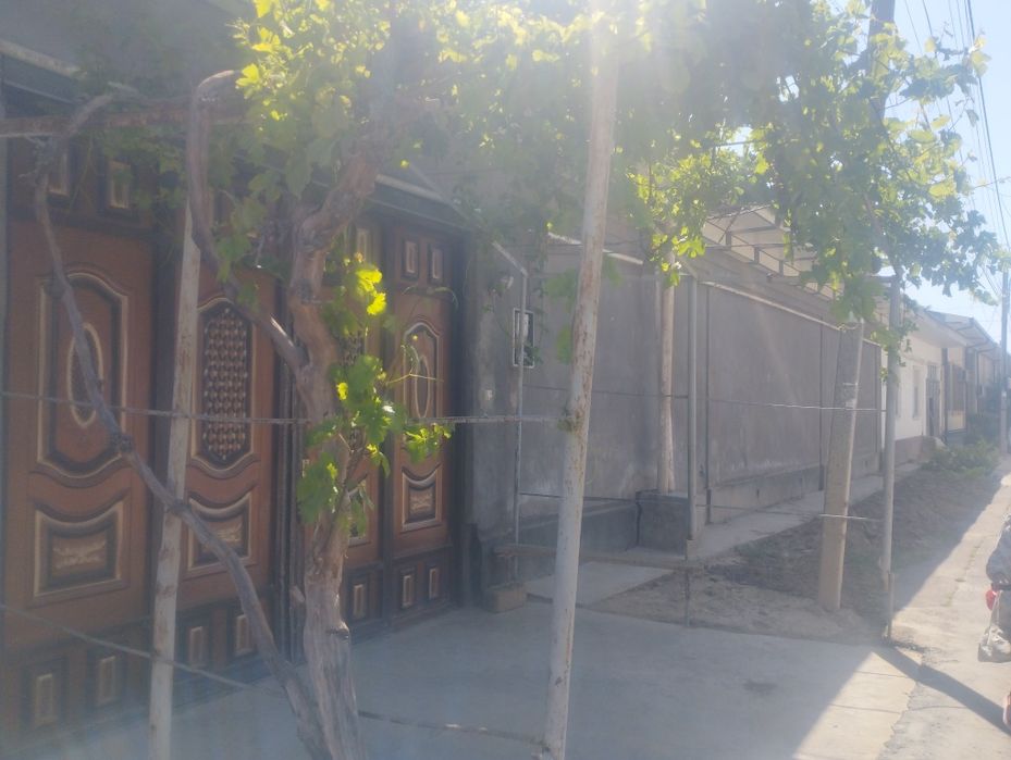 Toshkent shahar olmazor tumani