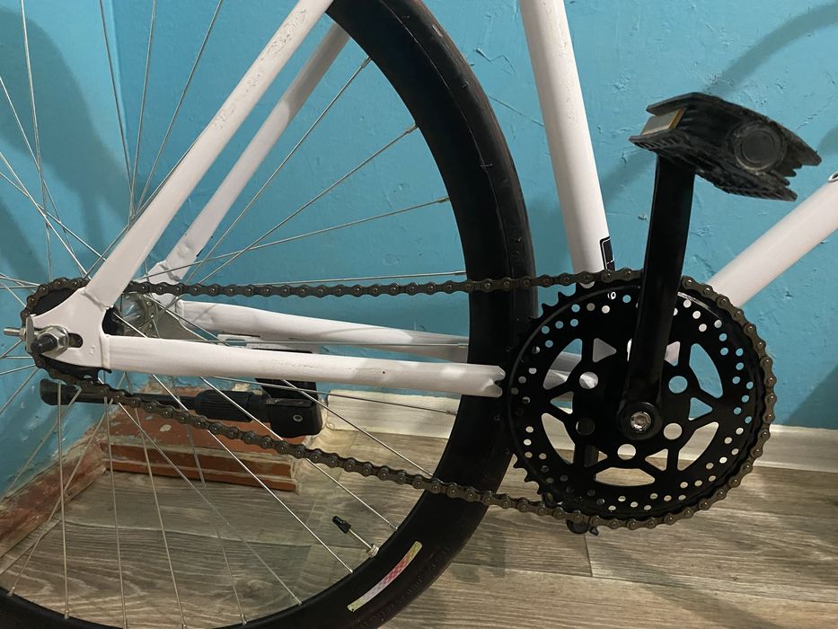 Singlespeed Axion Ghost