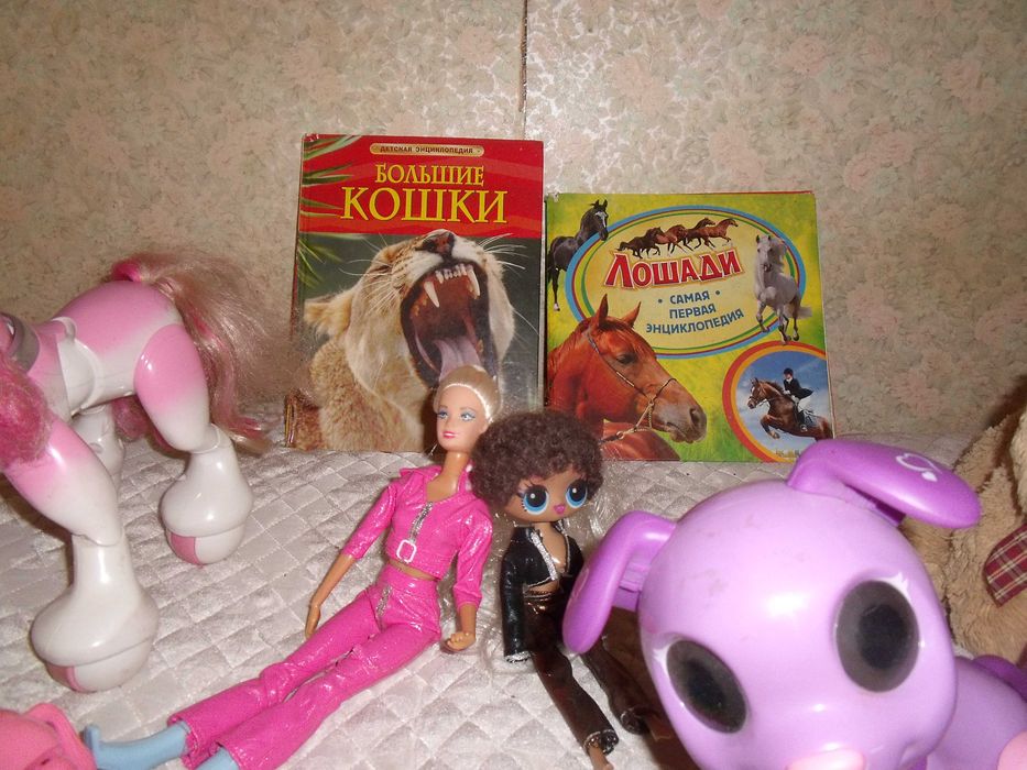 Детские игрушки и книжки