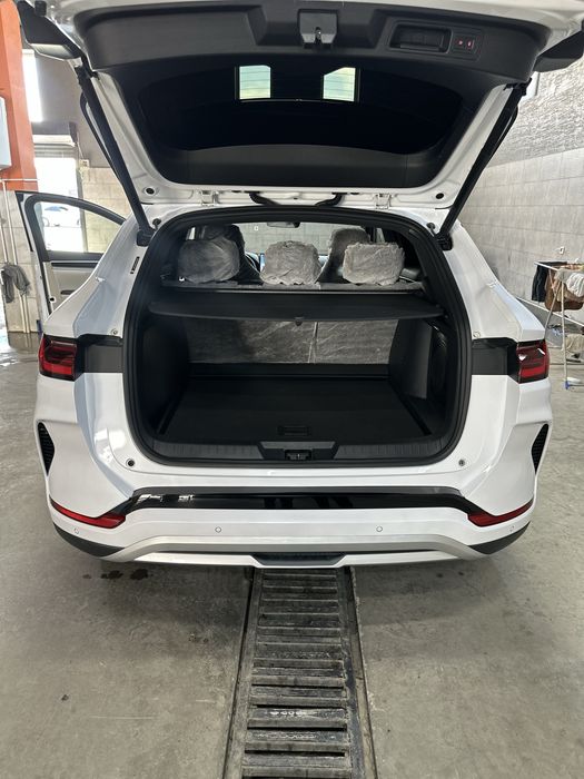 Byd chempion gibrid 150