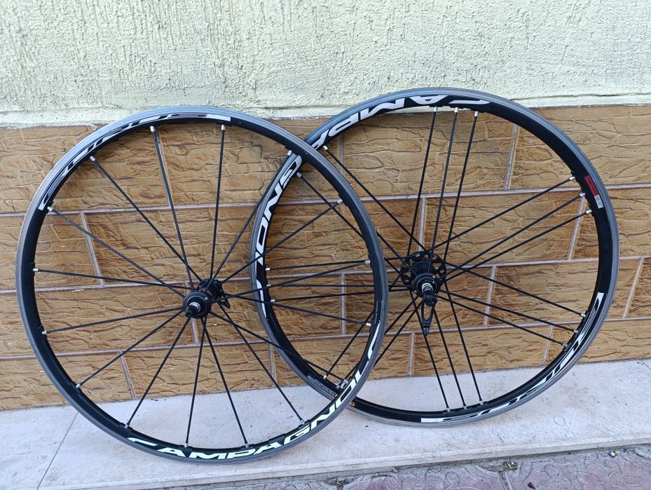 Капли Campagnolo Curus