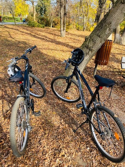 Bicicletă MTB Rockrider ST50 cadru S, M