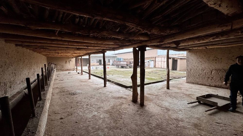 Ferma Sotiladi Srochno