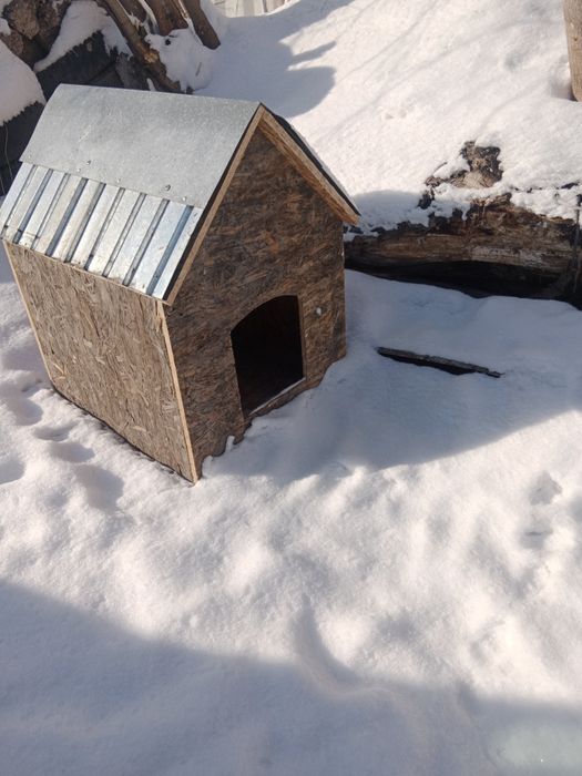 Бужка для собаки