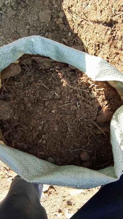 Перегной конский