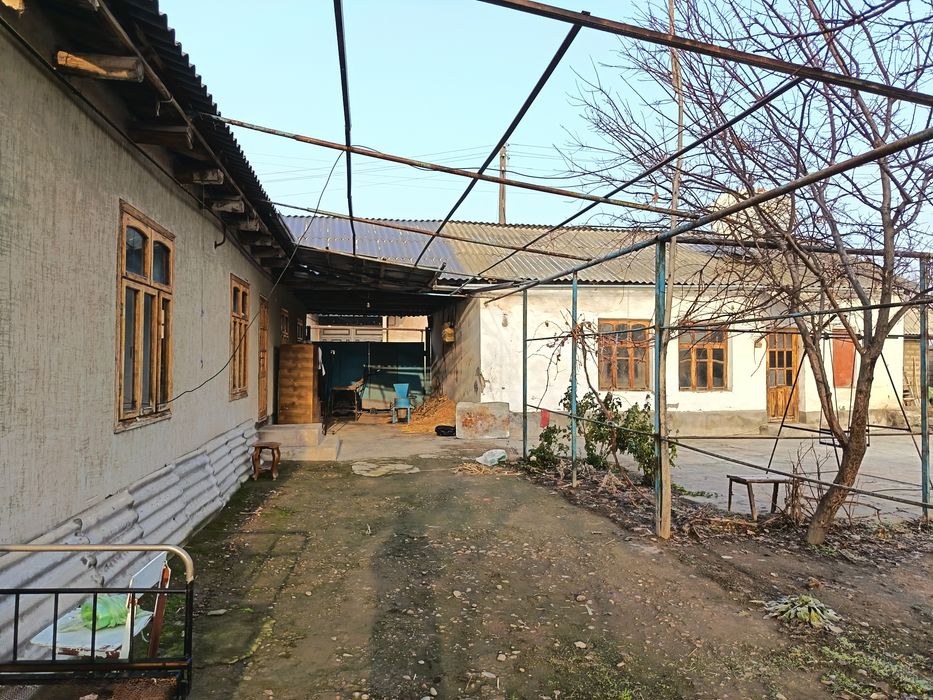 Нурафшон гулистон мфй