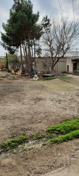 Ижарага ховли бор