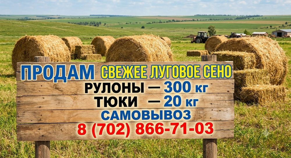 Сено луговое свежее