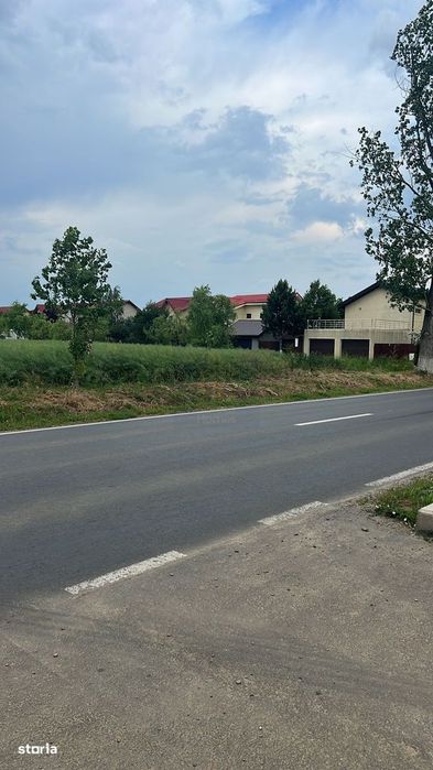 Teren de Vanzare Industrial Caciulati A3