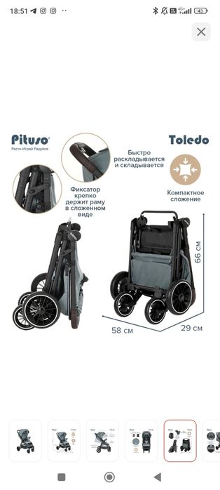 Детская коляска Toledo Pitusa