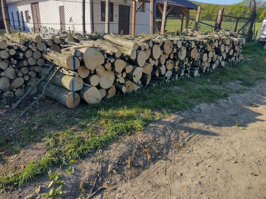 Lemne de foc esență