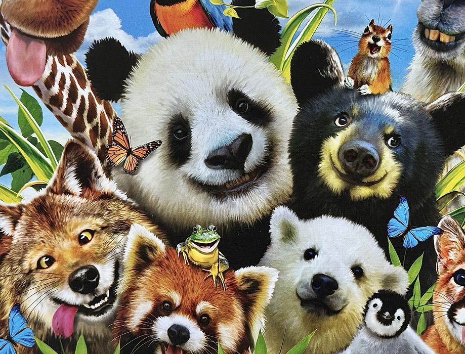 Пазлы 1 000 деталей (Educa, Trefl)