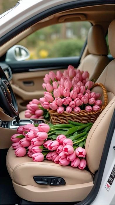 Тюльпаны опт/ розница