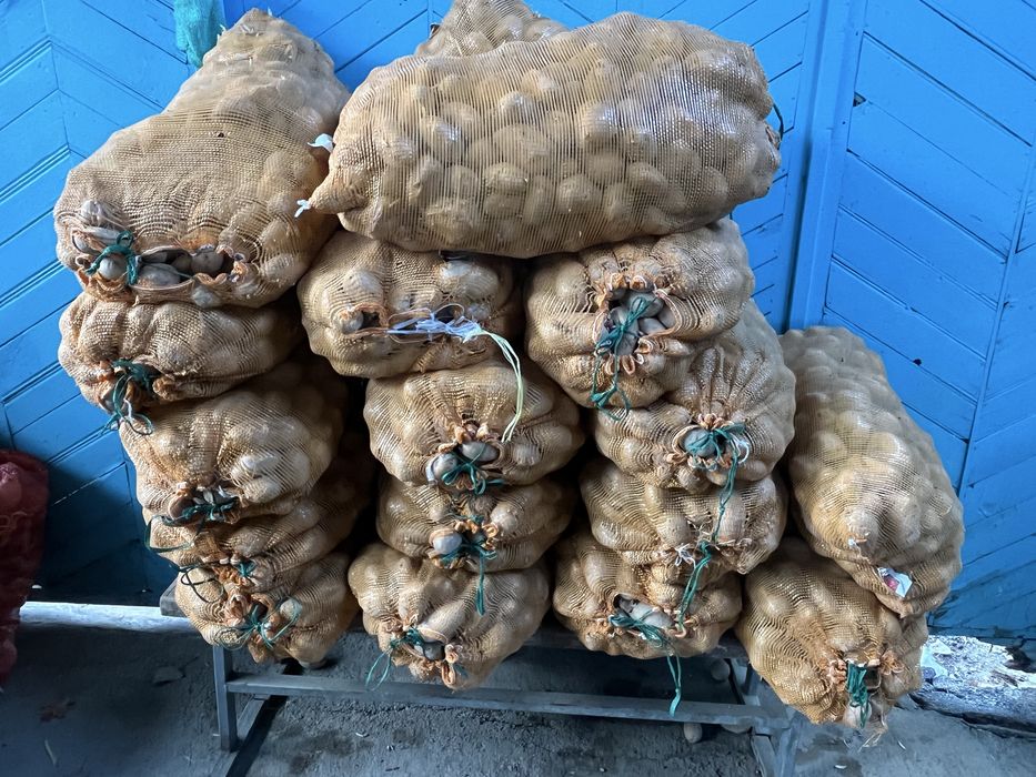 Картошка сатылады