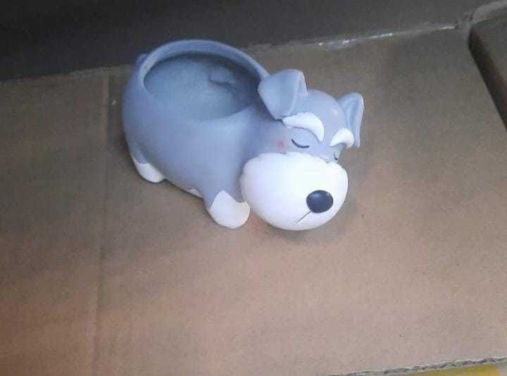 Кашпо для кактусов