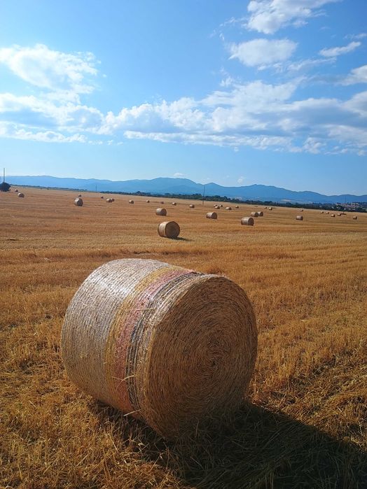 Рулонни бали ПРОСО със зърното