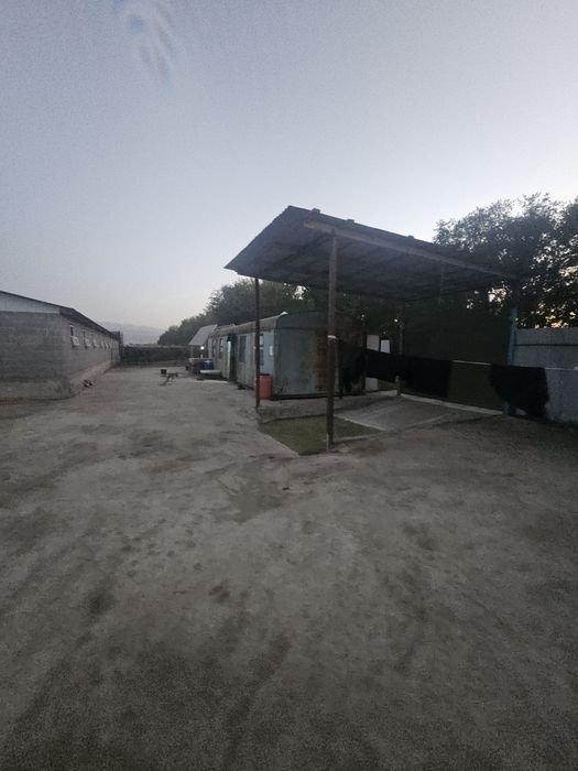 Фазенда  КХ 5 гектаров