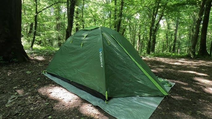 cort husky bird 3 plus