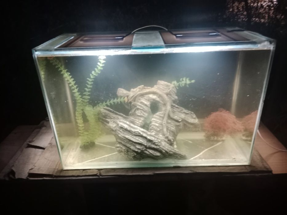 Аквариум 150л + бонусы и рыбки.