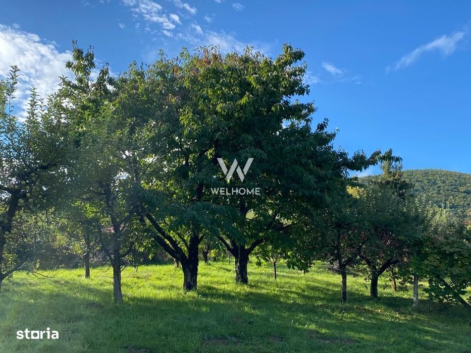 Teren intravilan 2100 mp - Valea Avligului - Sibiu