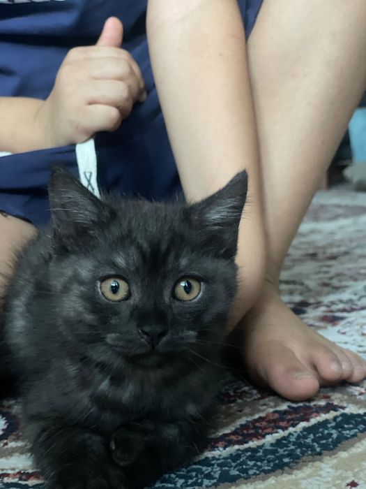 Porno filmda orgazm otish