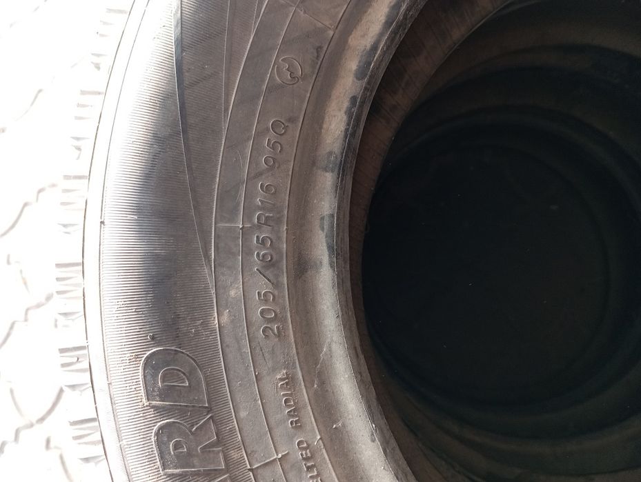 Продам ризина зима