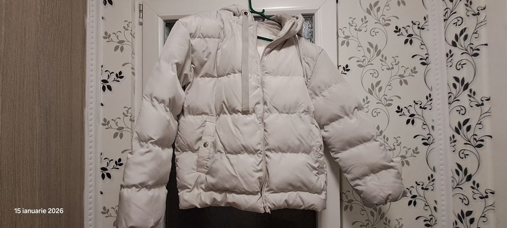 Vand geci 80 de lei bucata