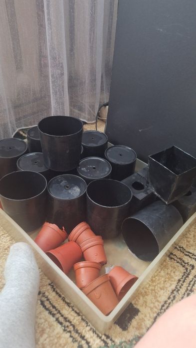 Стаканчики для рассады